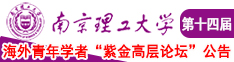 调教123区南京理工大学第十四届海外青年学者紫金论坛诚邀海内外英才！